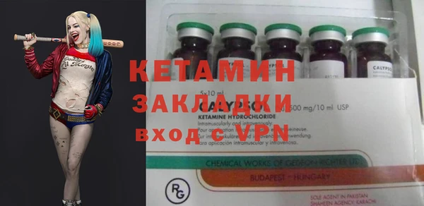 трава Карпинск