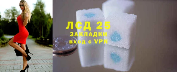трава Карпинск