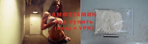 трава Карпинск