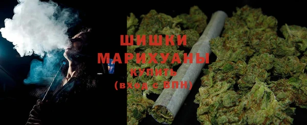 трава Карпинск