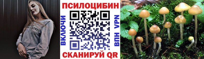 Купить  Альметьевск  Галлюциногенные грибы мухоморы 